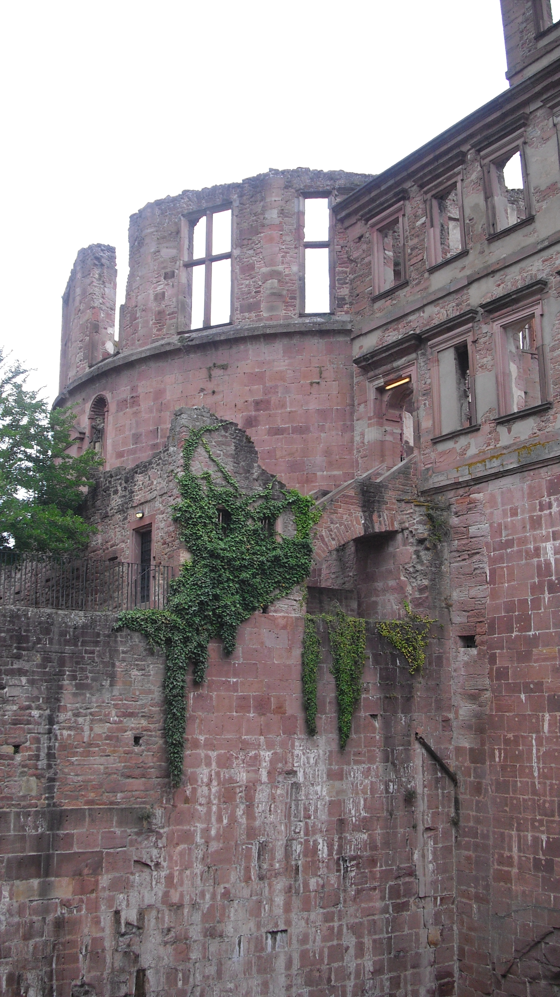 Bild 129 Schloss Heidelberg in Heidelberg