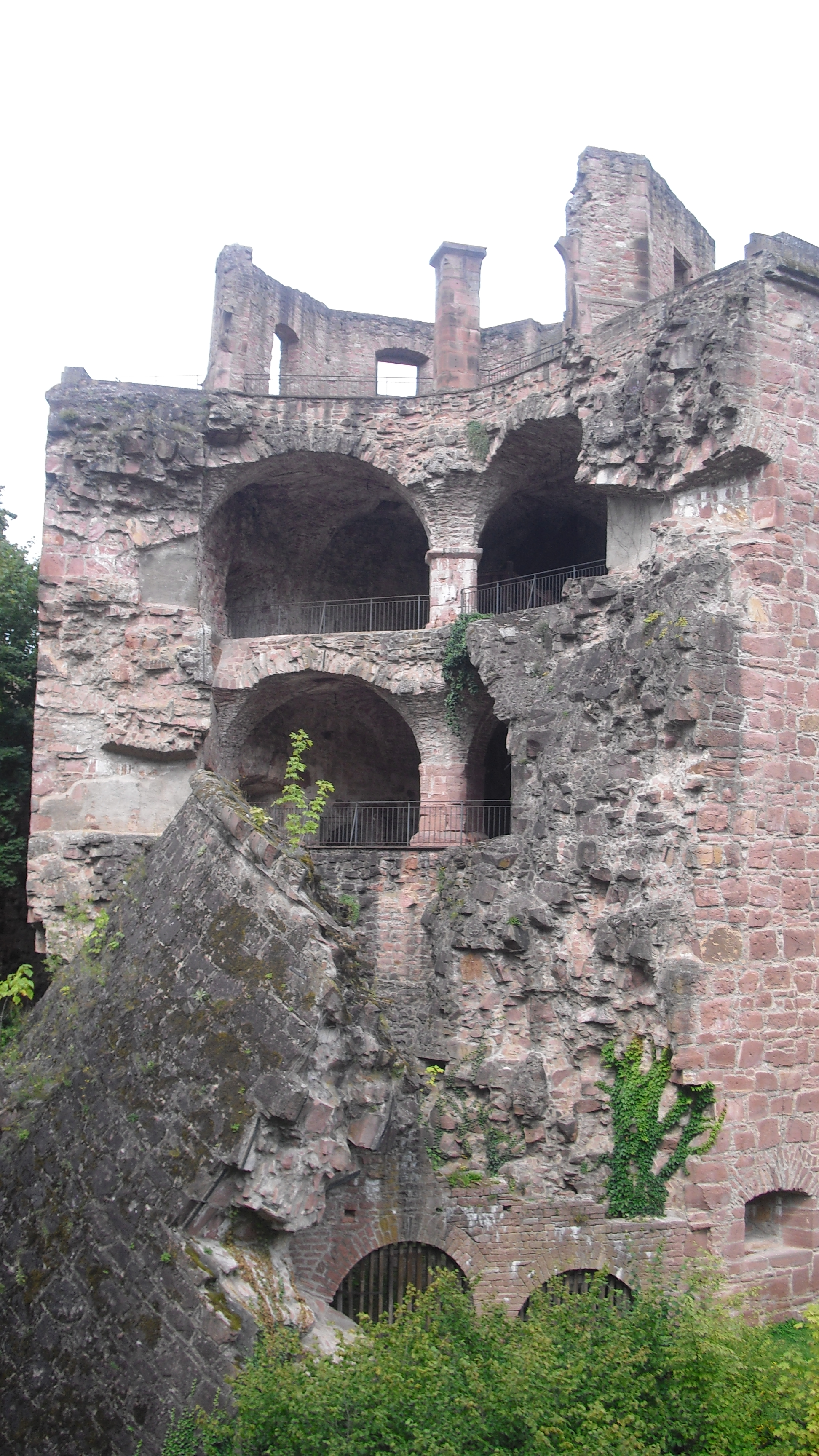 Bild 123 Schloss Heidelberg in Heidelberg