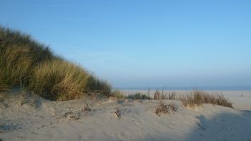 Bild zu Inselresidenz Strandburg - InterDomizil