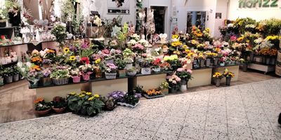 Florizz GmbH & Co. KG Blumen in Zschopau