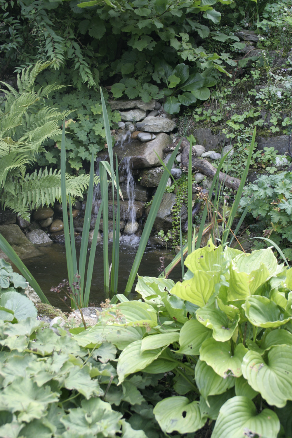 Wasser im Garten erzeugt eine angenehme Atmosphäre