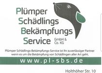 Bild zu Plümper Schädlingsbekämpfungsservice GmbH & Co. KG