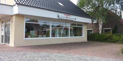 Löwen-Apotheke, Inh. Anette Noelker-Hoche in Leerhafe Stadt Wittmund