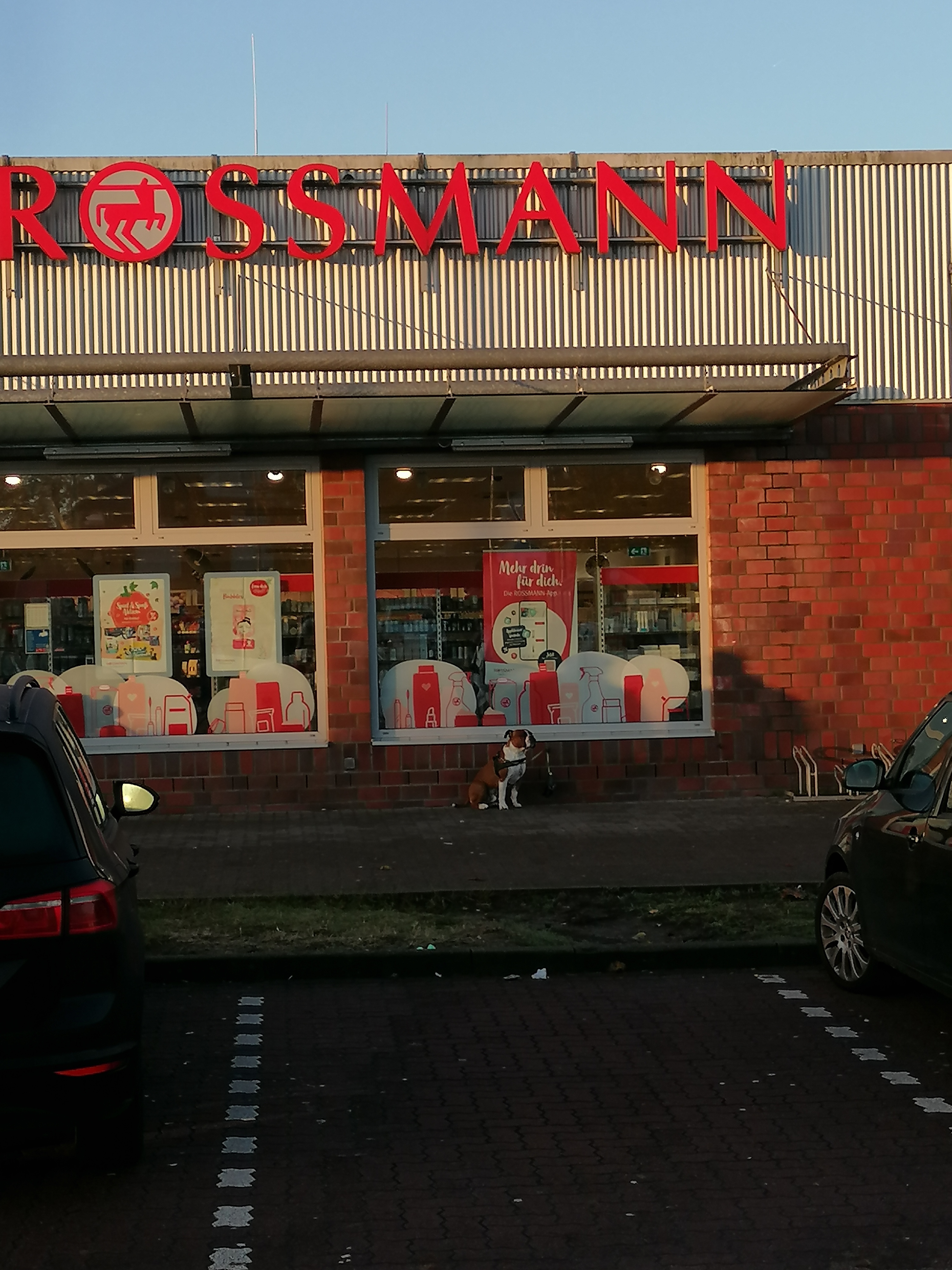 Die kleine Rossmann-Filiale in Schwarzenbek.