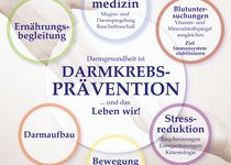 Bild zu Dr. Nicole Steenfatt Darm Gesundheitspraxis