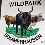 Wildpark Sommerhausen in Sommerhausen