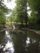 Nutzerbilder Botanischer Garten