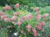 Nutzerbilder Botanischer Garten