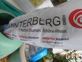 Nutzerbilder Blumen Winterberg GmbH