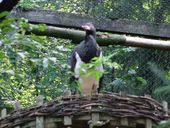 Nutzerbilder Heimat-Tierpark Olderdissen