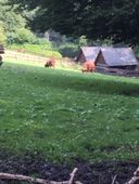 Nutzerbilder Heimat-Tierpark Olderdissen