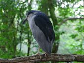 Nutzerbilder Heimat-Tierpark Olderdissen