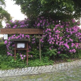 Wanderung durch die Kleingärten Wuppertal's in Wuppertal