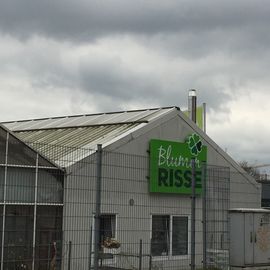 Blumen Risse GmbH & Co. KG in Wuppertal