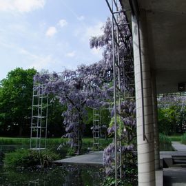 Am Rande des Garten's