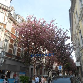 Anfang der Breitestrasse in der Altstadt