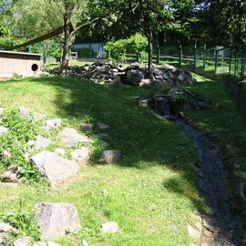 Schön angelegter Bachlauf durch den Tierpark