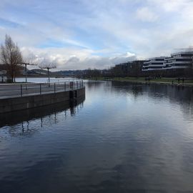 Phoenix-See in Dortmund