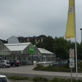 Blumen Risse GmbH & Co. KG in Wuppertal
