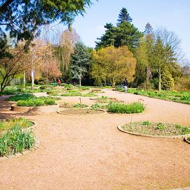 Botanischer garten in Krefeld
Foto v. bouquet-noir