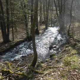 Die landschaftliche Seite von Wuppertal 