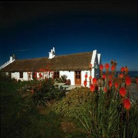 Irisches Haus an der Küste
