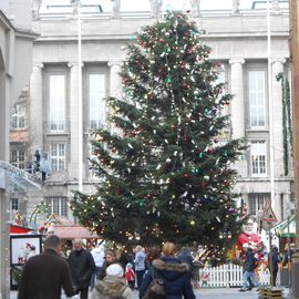 Der gesponserte Weihnachtsbaum in voller Größe