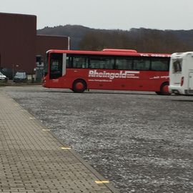 Rheingold-Reisen-Wuppertal Blankennagel GmbH & Co. KG in Wuppertal