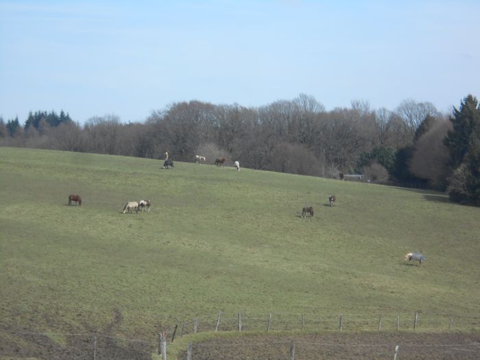 Die landschaftliche Seite von Wuppertal 