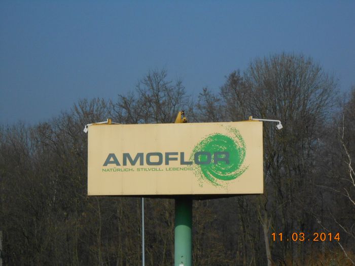 Amoflor - Pflanzen