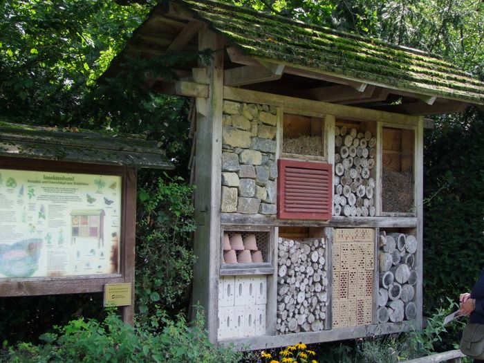 Nutzerbilder Heimat-Tierpark Olderdissen