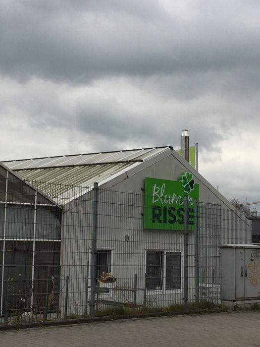 Blumen Risse GmbH & Co. KG