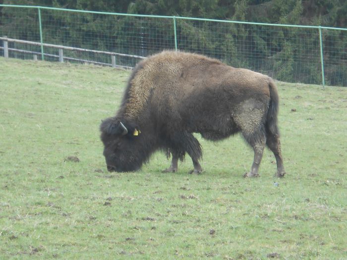 Nutzerbilder Klaus Stöcker Landwirtschaft