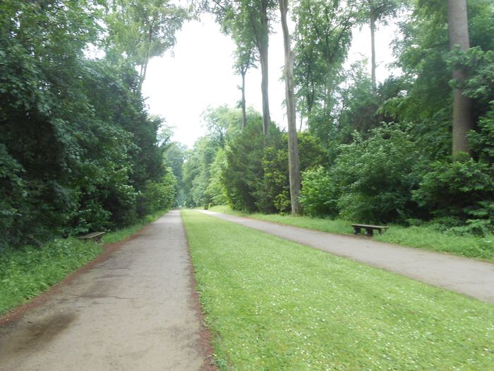 Nutzerbilder Stiftung Schloss und Park Benrath