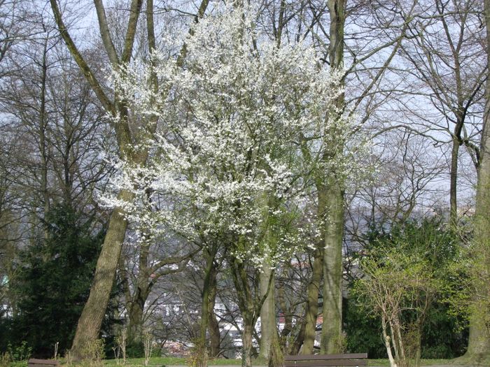 Nutzerbilder Botanischer Garten Wuppertal