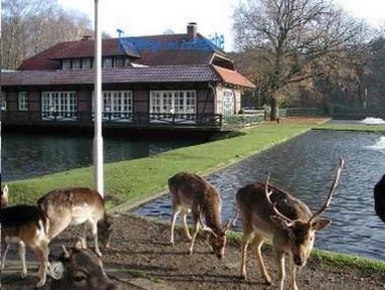 Forellenzucht und Damwild auf dem Forellenhof