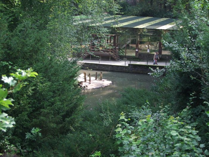 Nutzerbilder Heimat-Tierpark Olderdissen