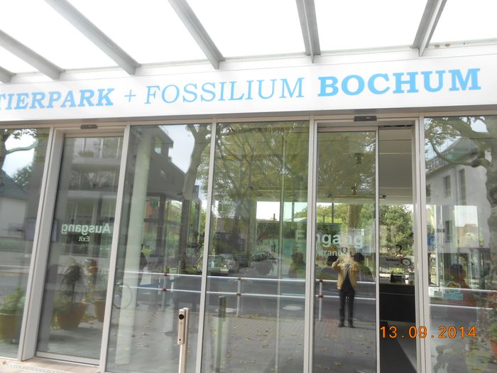 Nutzerbilder Tierpark + Fossilium