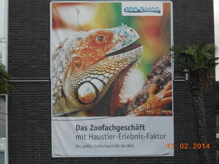 Nutzerbilder Zoo Zajac GmbH -