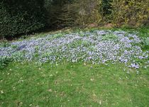 Bild zu Botanischer Garten - Hardt