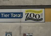 Bild zu Aquarianer-Treff Zoohandel GmbH
