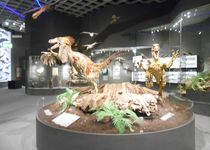 Bild zu LWL-Museum für Naturkunde Westfälisches Landesmuseum mit Planetarium