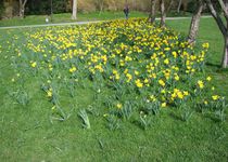 Bild zu Botanischer Garten - Hardt