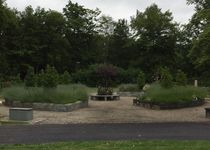 Bild zu Memoriam Garten Parkfriedhof