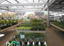 Bild zu Pflanzen Laukart Gartenfachhandel