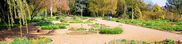 Bild zu Botanischer Garten Schönwasserpark