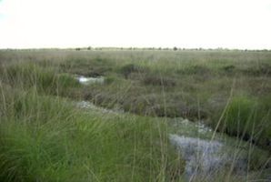 Bild zu Kleinstadt Großheide