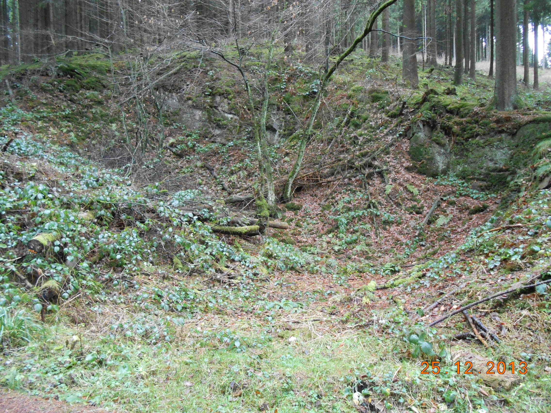 Marscheider Wald