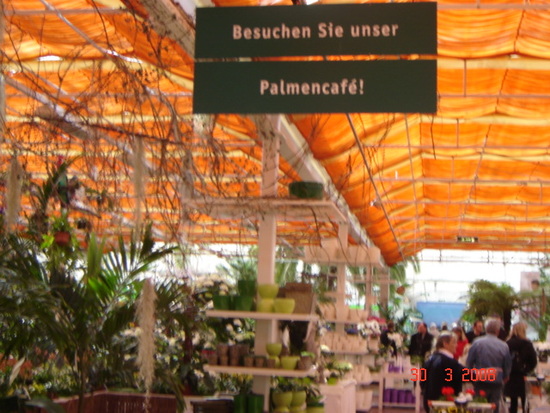 Erster Besuch im Palmengartencafe 2008