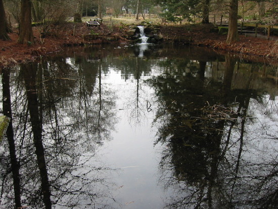 Klares Wasser im Teich vom botanischen Garten